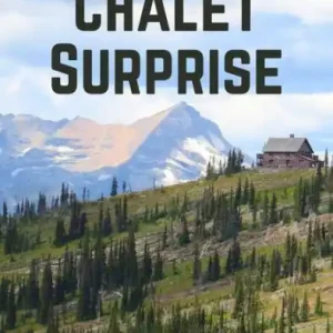 Glacier Chalet Surprise Free Shipping