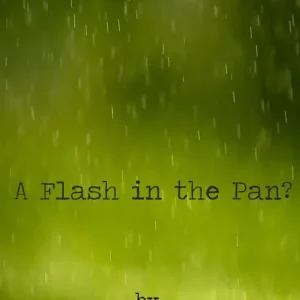 Order Now A Flash in the Pan?