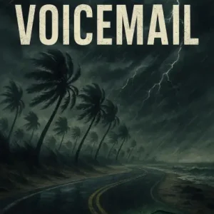 Brand New The Last Voicemail