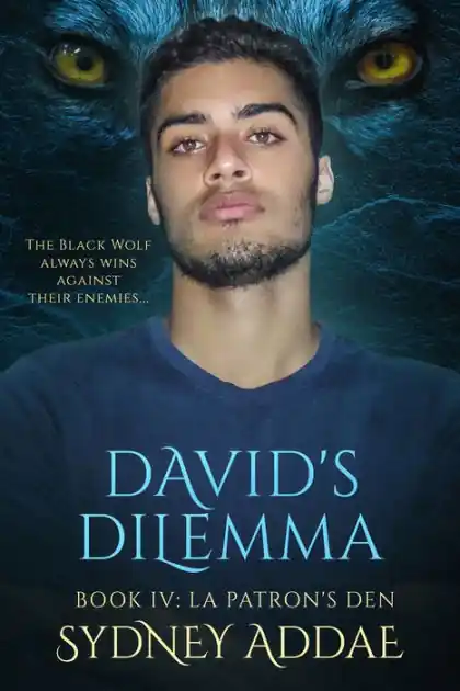 Mega Sale David's Dilemma