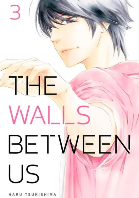 The Walls Between Us, Volume 3 Affordable
