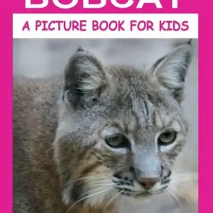 Facts About the Bobcat Direct From Factory