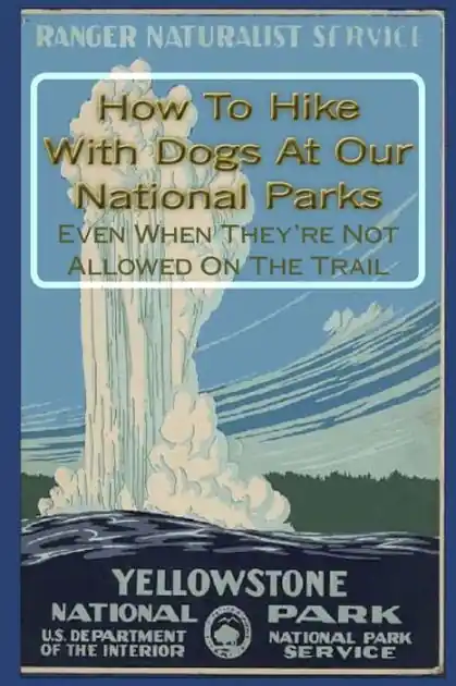How To Hike With Dogs At Our National Parks - Even When They're Not Allowed On The Trail Warranty Included