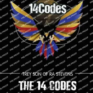 Secure Checkout The 14 Codes, The Black American Man Constitutional Code of Conduct