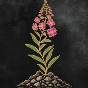 Order Now After The Ashes: Revealing The Beauty