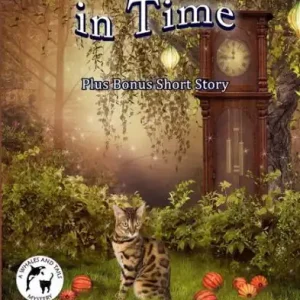 Best Seller A Whisker in Time