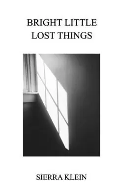 Bright Little Lost Things Save Now