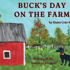 Buck's Day on the Farm Factory Price