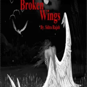 Broken Wings Best Price