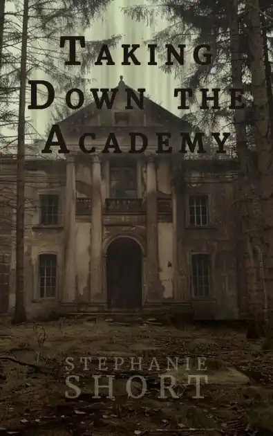 Taking Down the Academy Factory Price